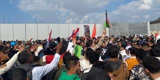 برلمانية تشيد بجهود مصر في استكمال الهدنة وإتمام عملية تبادل الأسرى