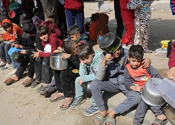 مكاسب الأمن الغذائي في غزة معرضة للخطر.. ومخاوف متزايدة بشأن الضفة الغربية