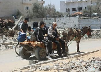 غزة – نزوح 1,500 عائلة من شمال القطاع، وتضاؤل فرص التصدي للجوع