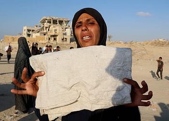 بين القذائف والجوع – نساء غزة يواجهن الموت بحثا عن الطعام