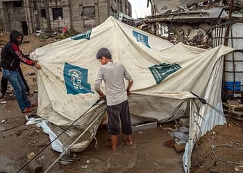 الأمم المتحدة: قرار مجلس الأمن بشأن غزة خطوة مهمة في توطيد وقف إطلاق النار