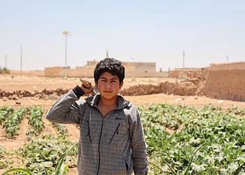 الفاو: الصراع في الشرق الأوسط يضع مزيدا من الضغوط على النظم الزراعية والغذائية الهشة