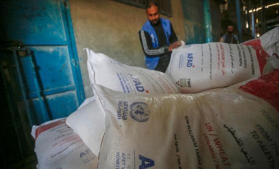 لازاريني يحذر من انهيار الأونروا ويحث على استخدامها في الانتقال إلى دولة فلسطينية