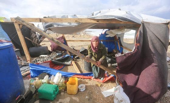 الأمم المتحدة: العملية الإنسانية في غزة تتطلب دعما عاجلا ومستداما، والأنشطة التعليمية تتوسع