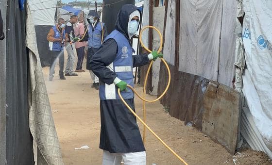 الحشرات والقوارض، خطر آخر يهدد سكان غزة – والأونروا تقوم بحملة لرش المبيدات وسط تفاقم الأزمة