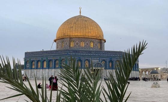 الأمم المتحدة: مؤتمر حل الدولتين فرصة حاسمة لرسم مسار لا رجعة فيه نحو السلام