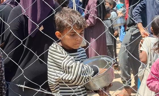 أمام مجلس الأمن، الأمم المتحدة تدعو إلى وقف “الفظائع” في غزة