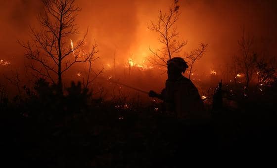 سوريا: الأمم المتحدة تواصل دعم جهود الاستجابة لحرائق الغابات