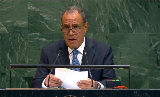 وزير الخارجية المصري: السلام خيارنا الاستراتيجي ولن نكون شركاء في نكبة جديدة لفلسطين