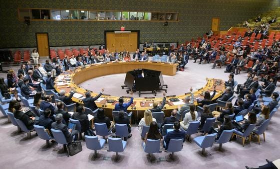 مجلس الأمن يفشل في اعتماد قرار يطالب بوقف الحرب في غزة، بعد استخدام الولايات المتحدة الفيتو