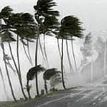 قبل أمشير وزعابيبه ..نصائح لمرضى الربو للتعامل مع الأتربة وتقلبات الطقس