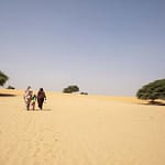 دراسة أممية: تدهور مقلق للأراضي الزراعية في المنطقة العربية